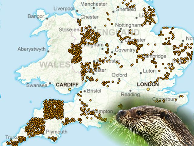 A map of otter distribution in England